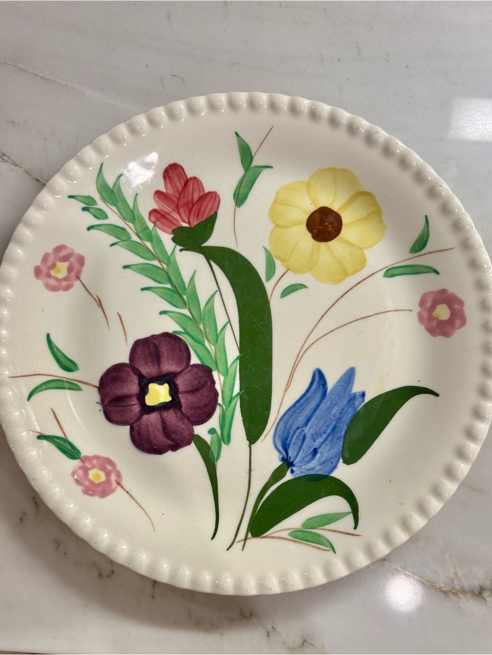 Blue Ridge Pottery dinner plate